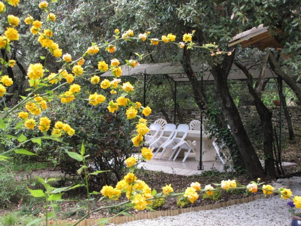 Domaine Du Bois Gite Marion Galargues エクステリア 写真